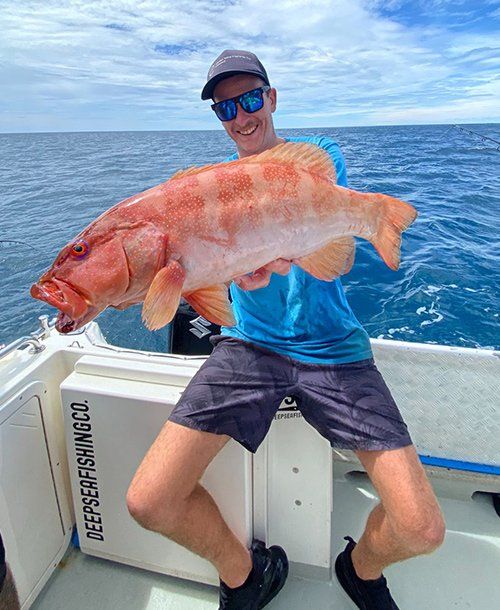Fresh Caught Coral Trout | Fishing Charters Sunshine Coast