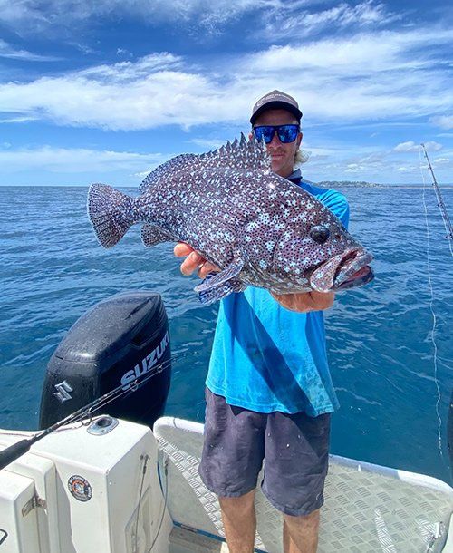 Man Holding Blue Cod Fish | Fishing Charters Sunshine Coast 