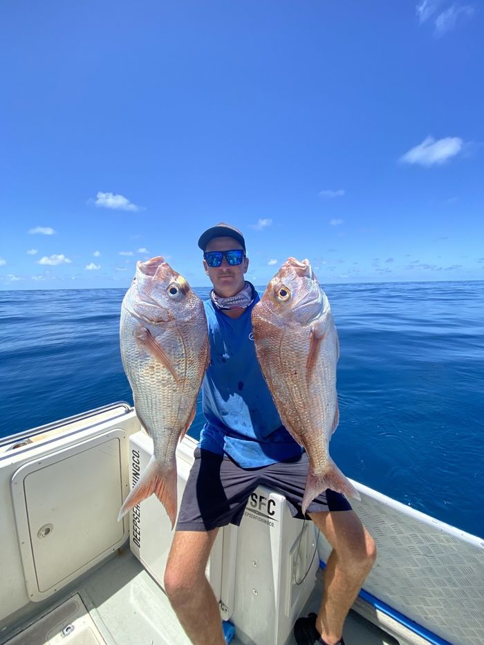 Halls Reef Fish Caught a Guy Deep Sea Fishing — Deep Sea Fishing Co Sunshine Coast In Noosaville Queensland