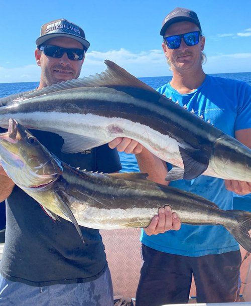 Cobia Fish Caught by Men | Fishing Charters Sunshine Coast 