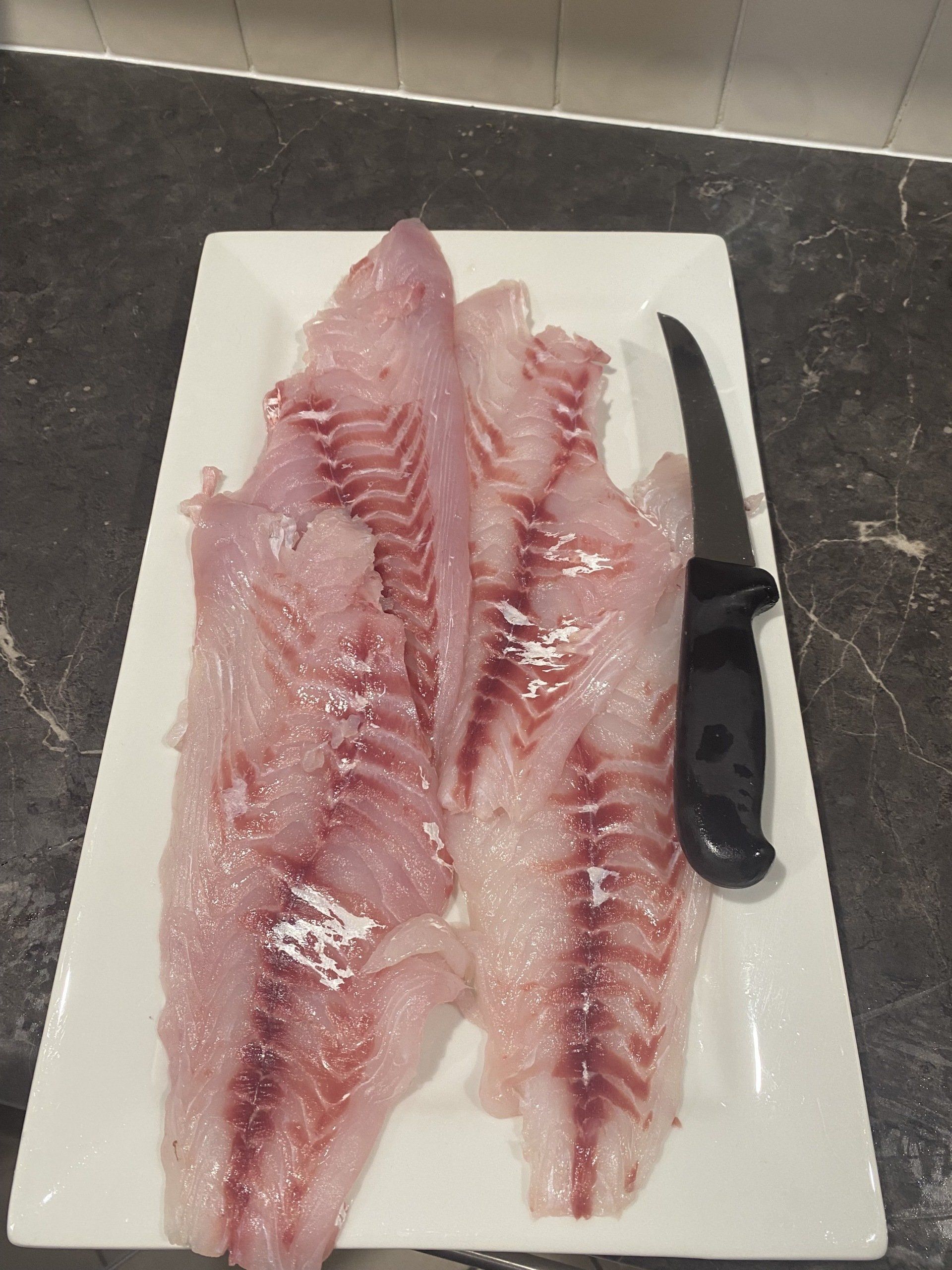 Knife And Fish Fillets — Deep Sea Fishing Co Sunshine Coast In Noosaville Queensland