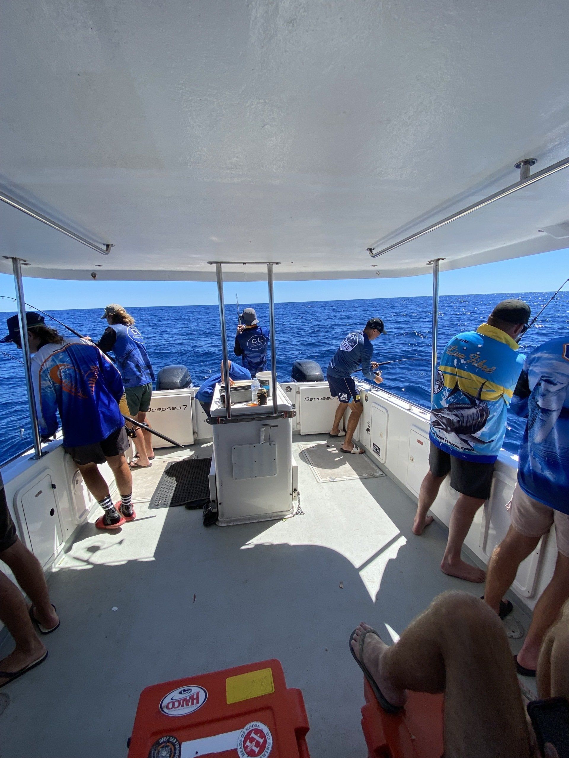 People Looking Fishes — Deep Sea Fishing Co Sunshine Coast In Noosaville Queensland