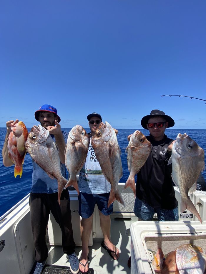 Barwon Banks Fish Caught by Deep Sea Fishers — Deep Sea Fishing Co Sunshine Coast In Noosaville Queensland