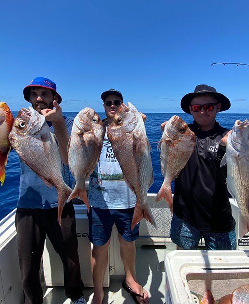 Three Men Holding Fresh Fish on the Fishing Charters on the Sunshine Coast