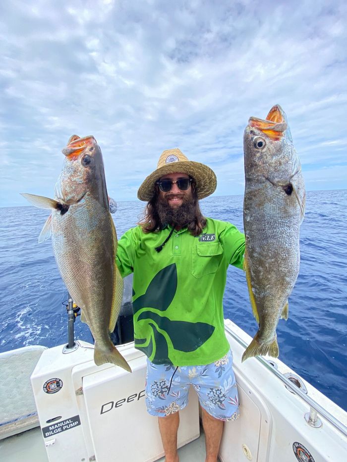 Double Island Point Fish Caught from Fishing Charters on the Sunshine Coast — Deep Sea Fishing Co Sunshine Coast In Noosaville Queensland