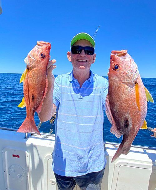 Big Moses Perch Fish Caught From  Deep Sea Fishing | Fishing Charters Sunshine Coast