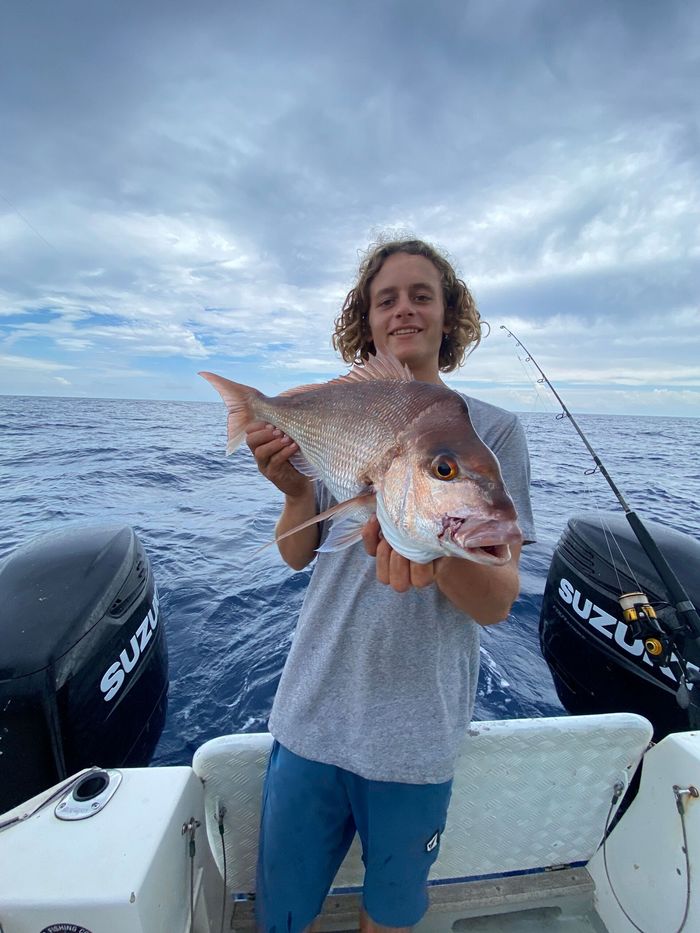 Jew Shoal Fish Caught in Fishing Charters on the Sunshine Coast — Deep Sea Fishing Co Sunshine Coast In Noosaville Queensland