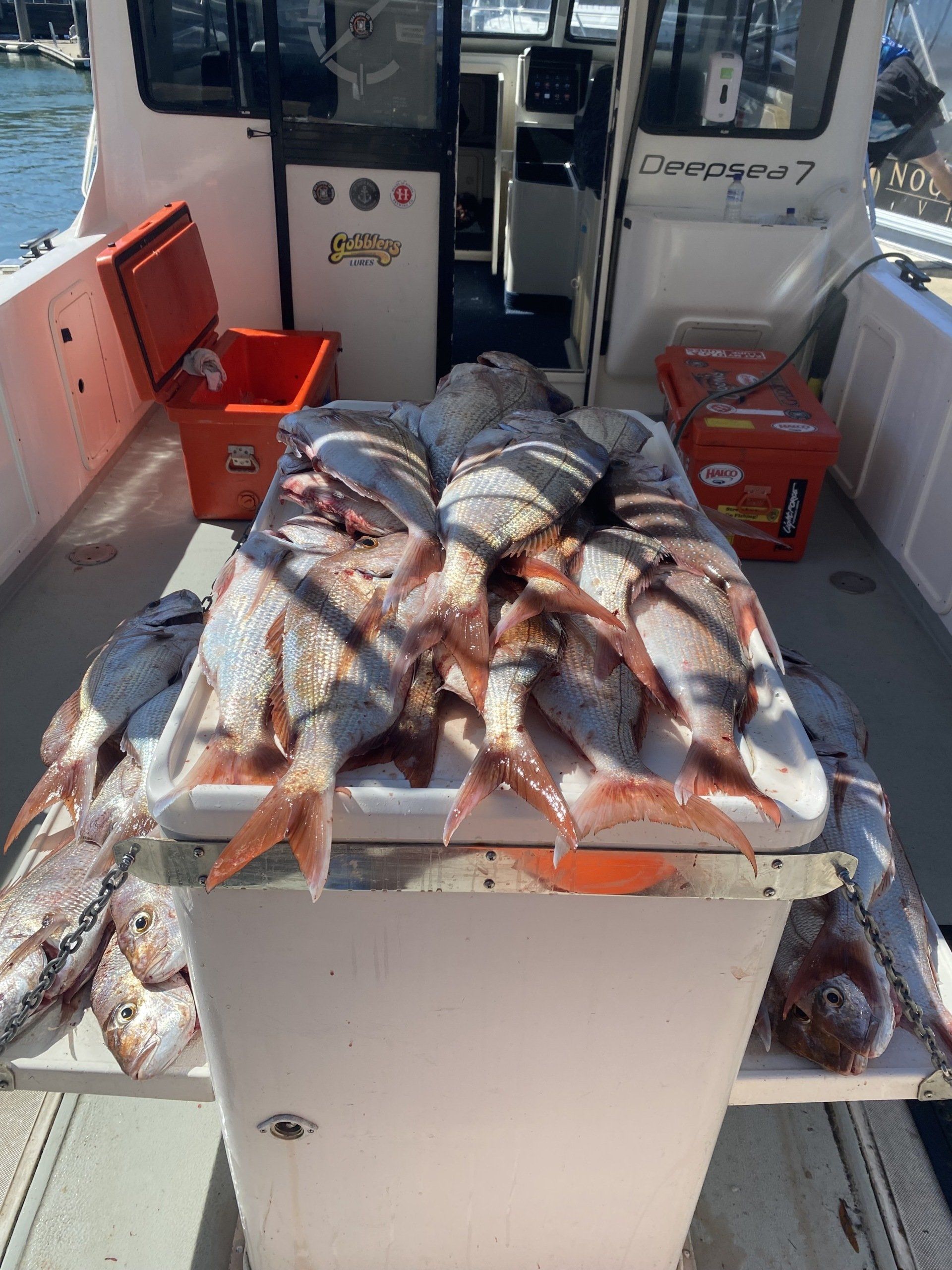 Fishing Charters Maroochydore 