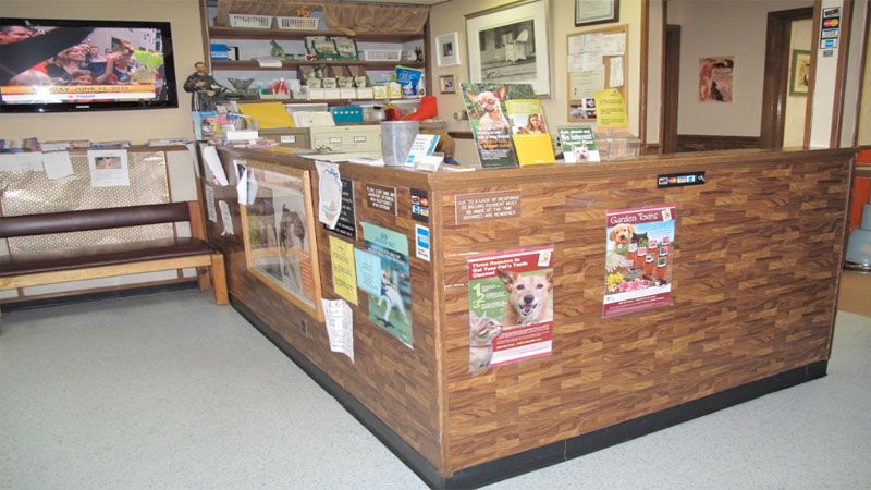 Clinic desk — Bayonne, NJ — ANIMAL CLINIC OF BAYONNE