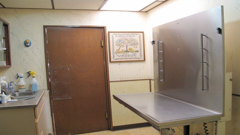 Clinic room — Bayonne, NJ — ANIMAL CLINIC OF BAYONNE