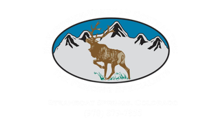 The Fencing Specialist logo