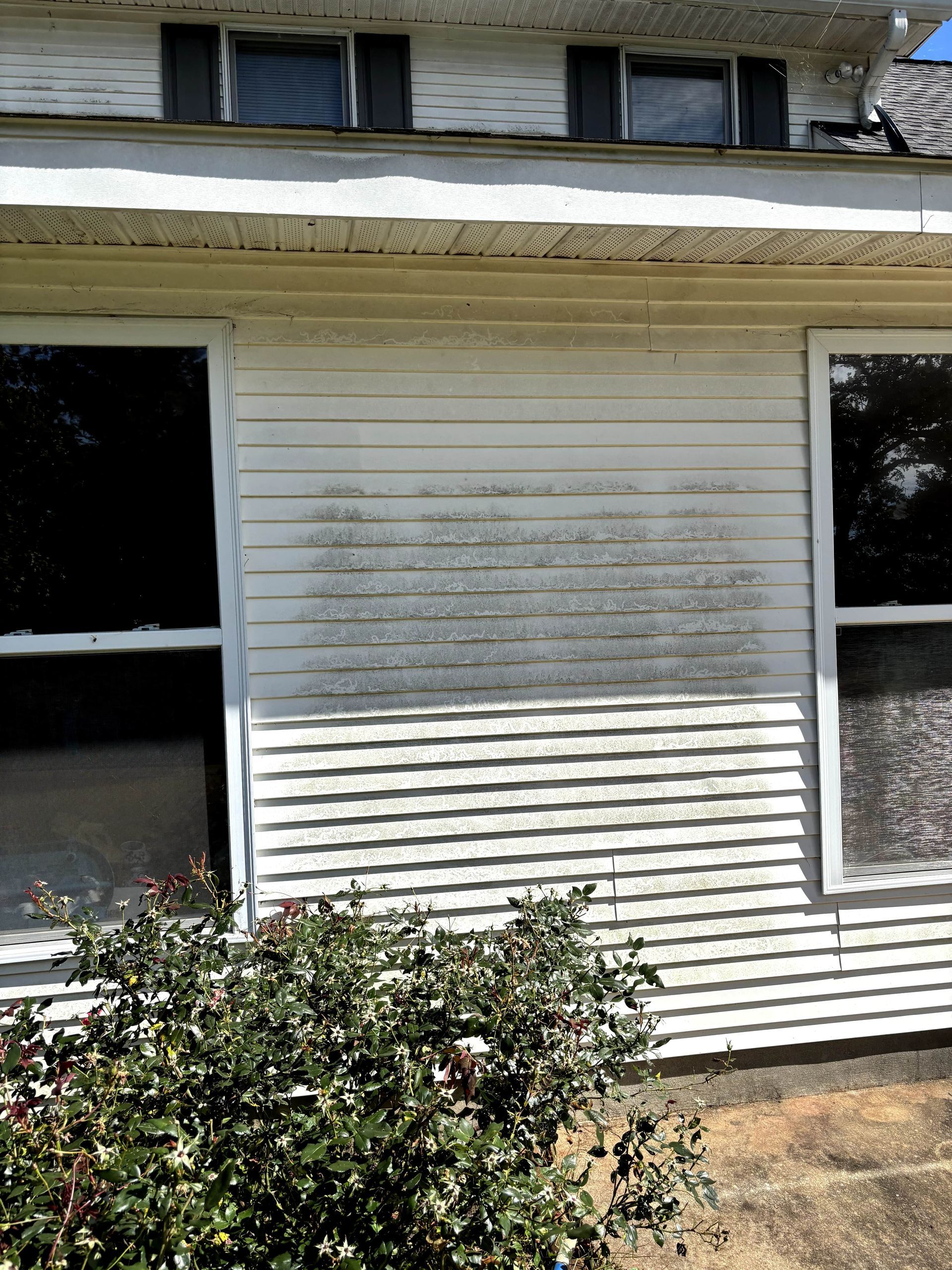 White house siding with dark streaks, two windows, and overgrown bush.