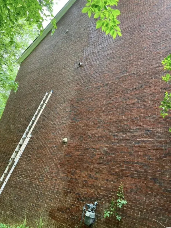 Brick wall with a ladder and stains from a cleaning process. Green leaves are in the upper right.