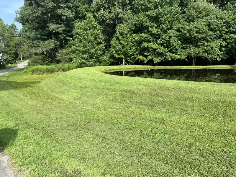 Green lawn and pond near a tree line; partly cloudy day.