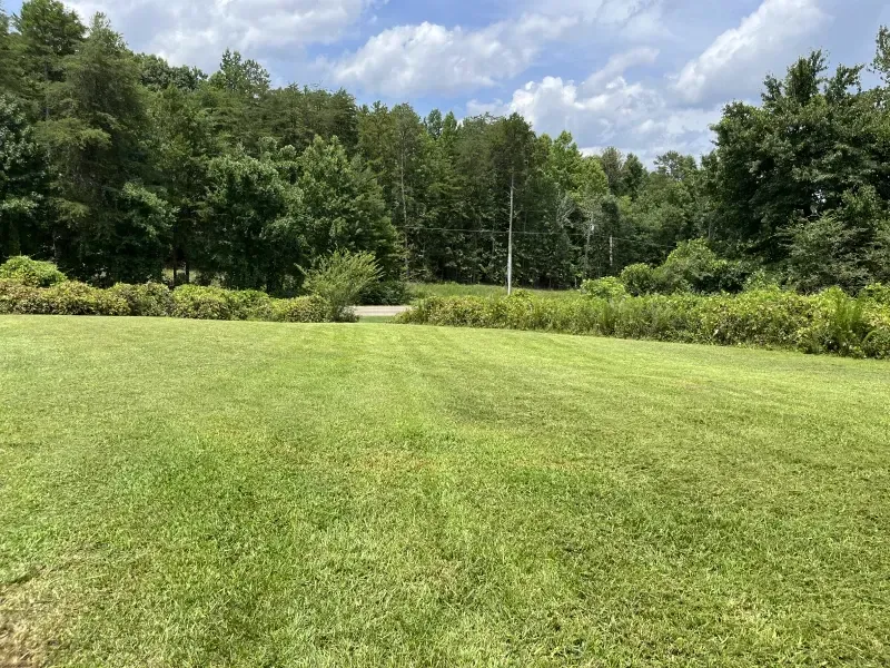 Lush green field with trees in the background under a partly cloudy sky.