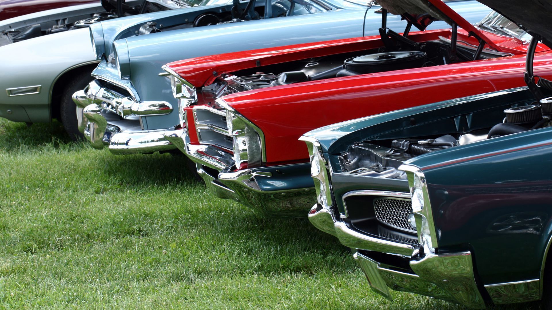 Classic cars with open hoods parked on grass, showcasing chrome and vibrant colors.