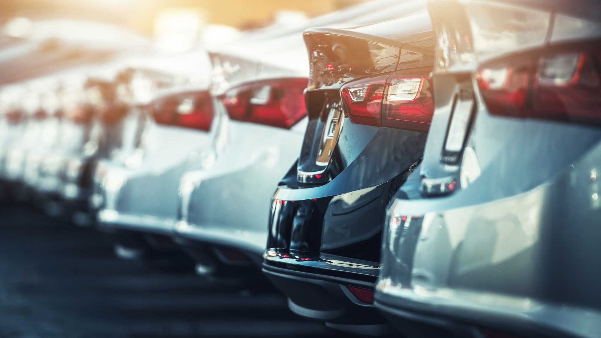 Line of new white cars parked on a sunny day.