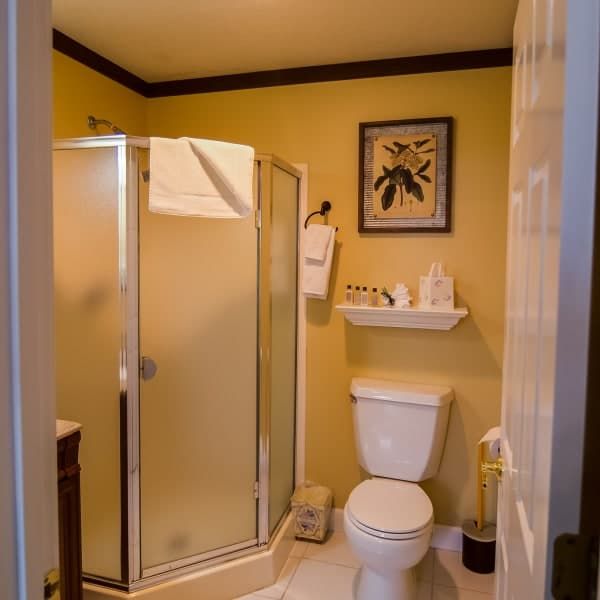 A bathroom with a toilet a shower and a picture on the wall