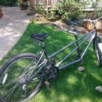 A tandem bicycle is parked on the grass in a yard.