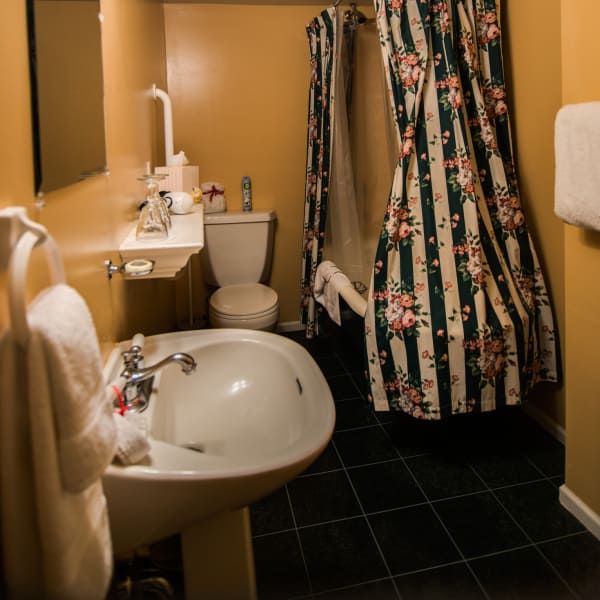 A bathroom with a sink toilet and shower curtain