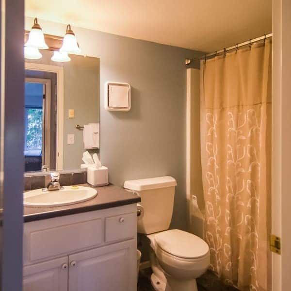 A bathroom with a toilet a sink and a shower curtain