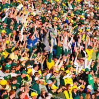 A large crowd of people are standing in a stadium watching a football game.