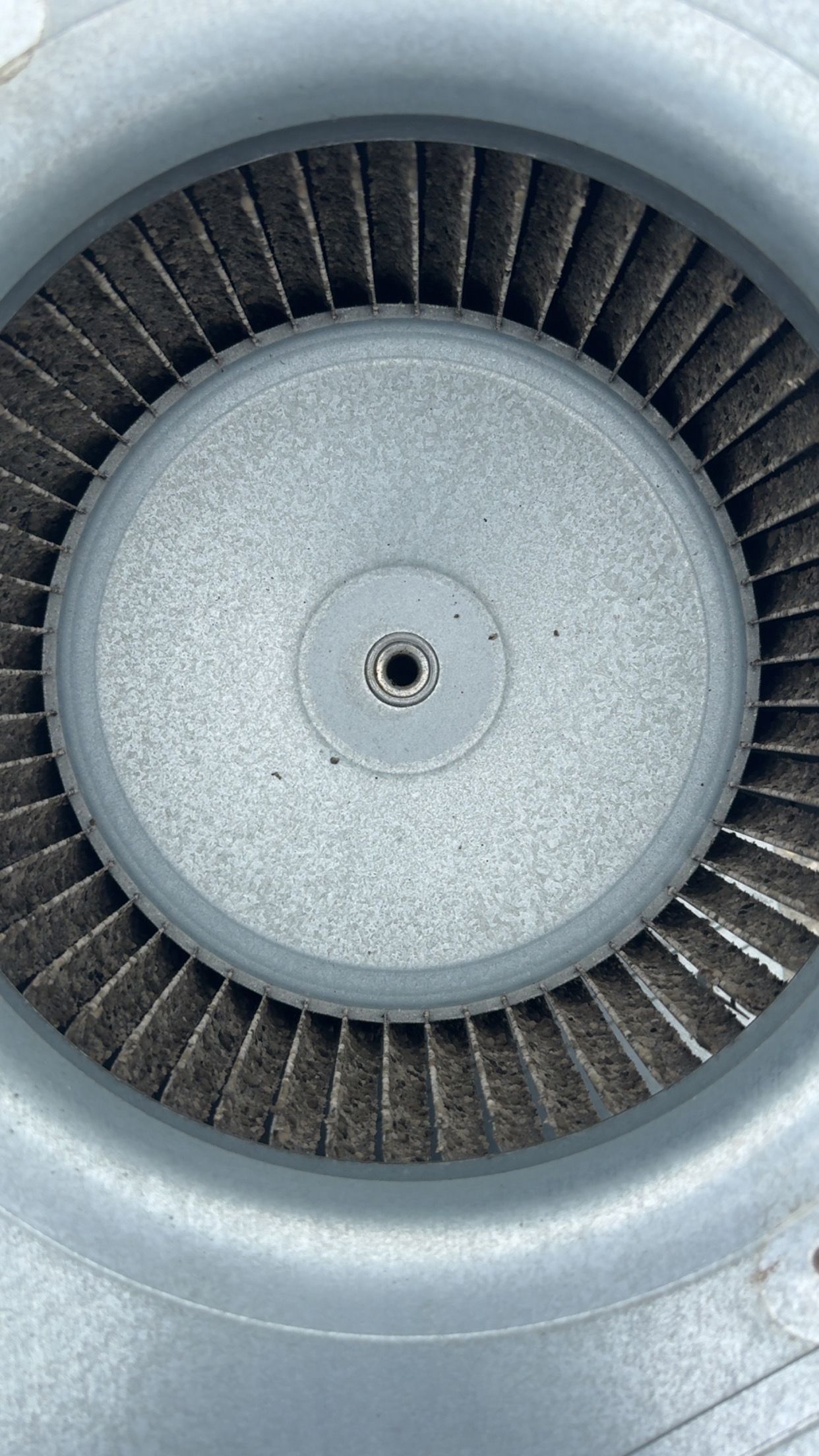 Dirty squirrel cage fan, viewed from the center.