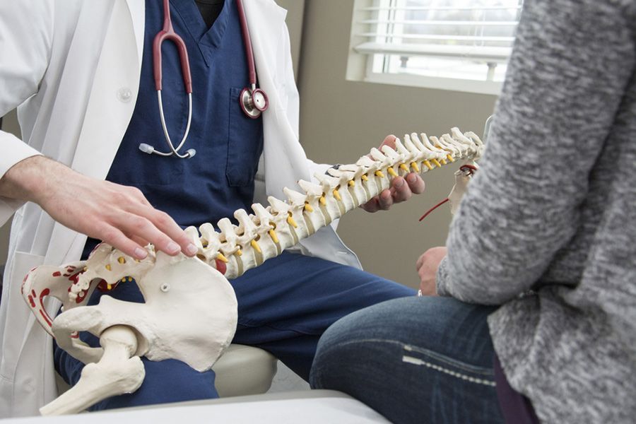 A Doctor is Showing a Model of the Spine to a Patient — Mark O'Brien Chiropractic in West End, QLD