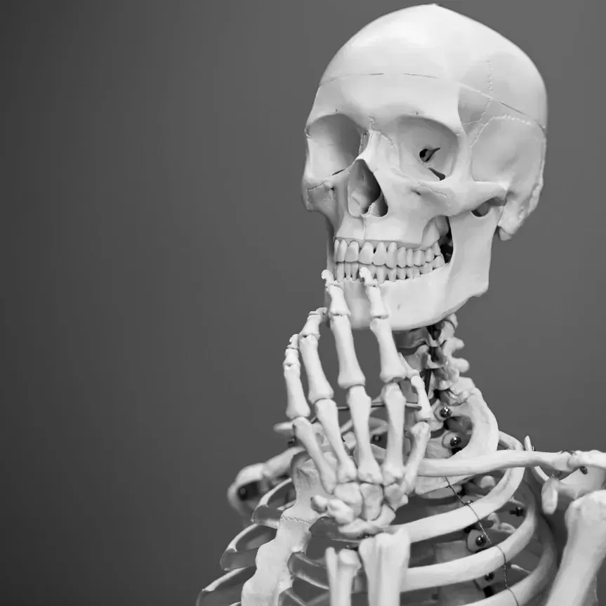 A Black and White Photo of a Skeleton Holding a Stick  — Mark O'Brien Chiropractic in West End, QLD