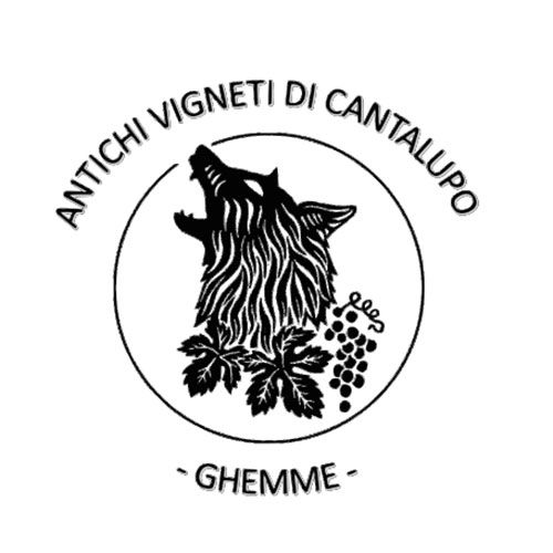 cantalupo