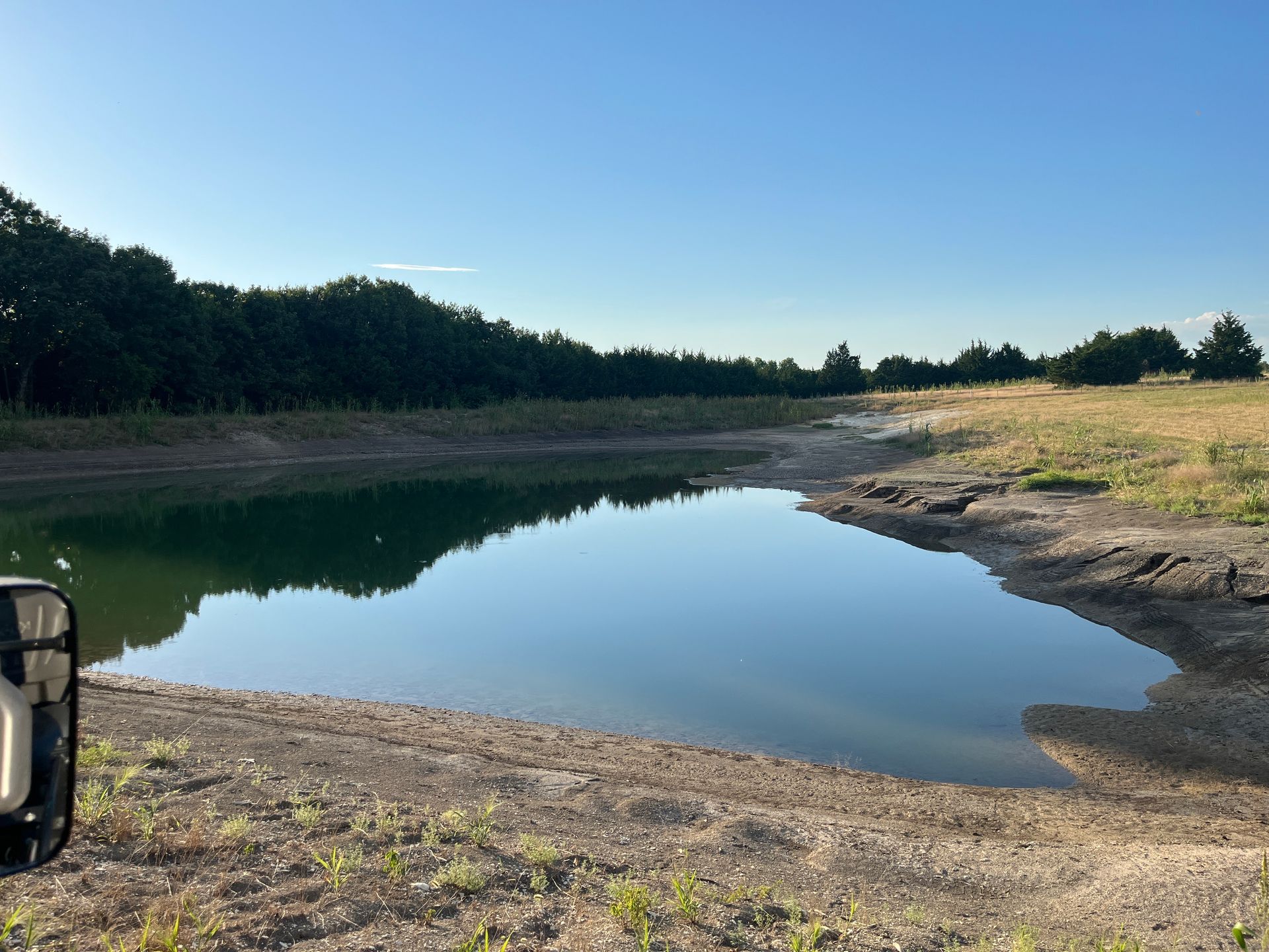 A small pond with calm water reflects the blue sky and trees. The surrounding area is dry, grassy land.
