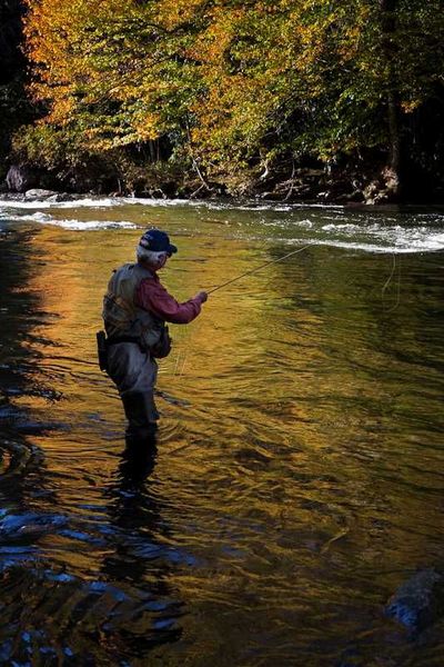 Man Fly Fishing on a River with Trees in the Background
