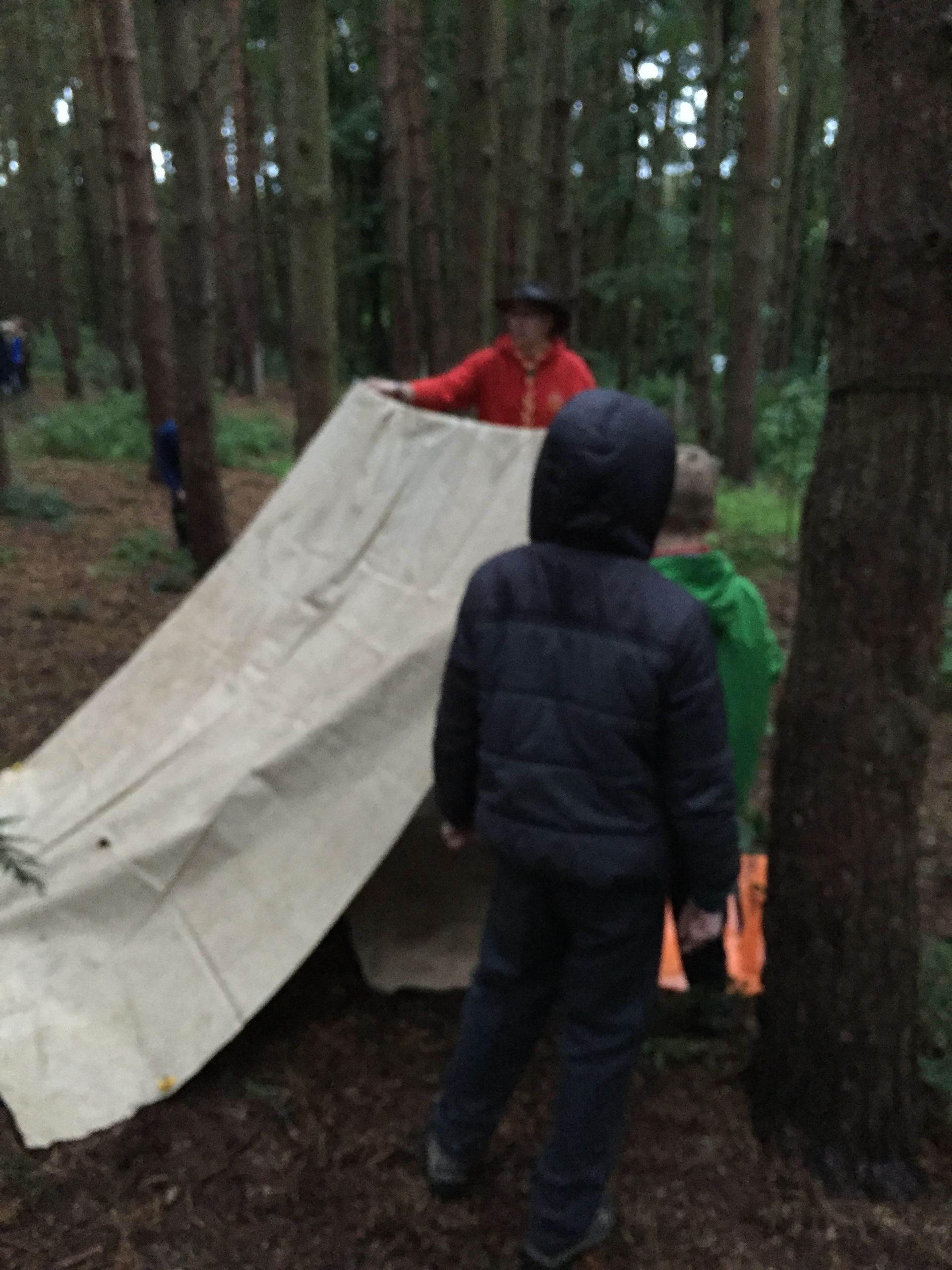 A man in a red jacket is holding a large piece of paper in the woods