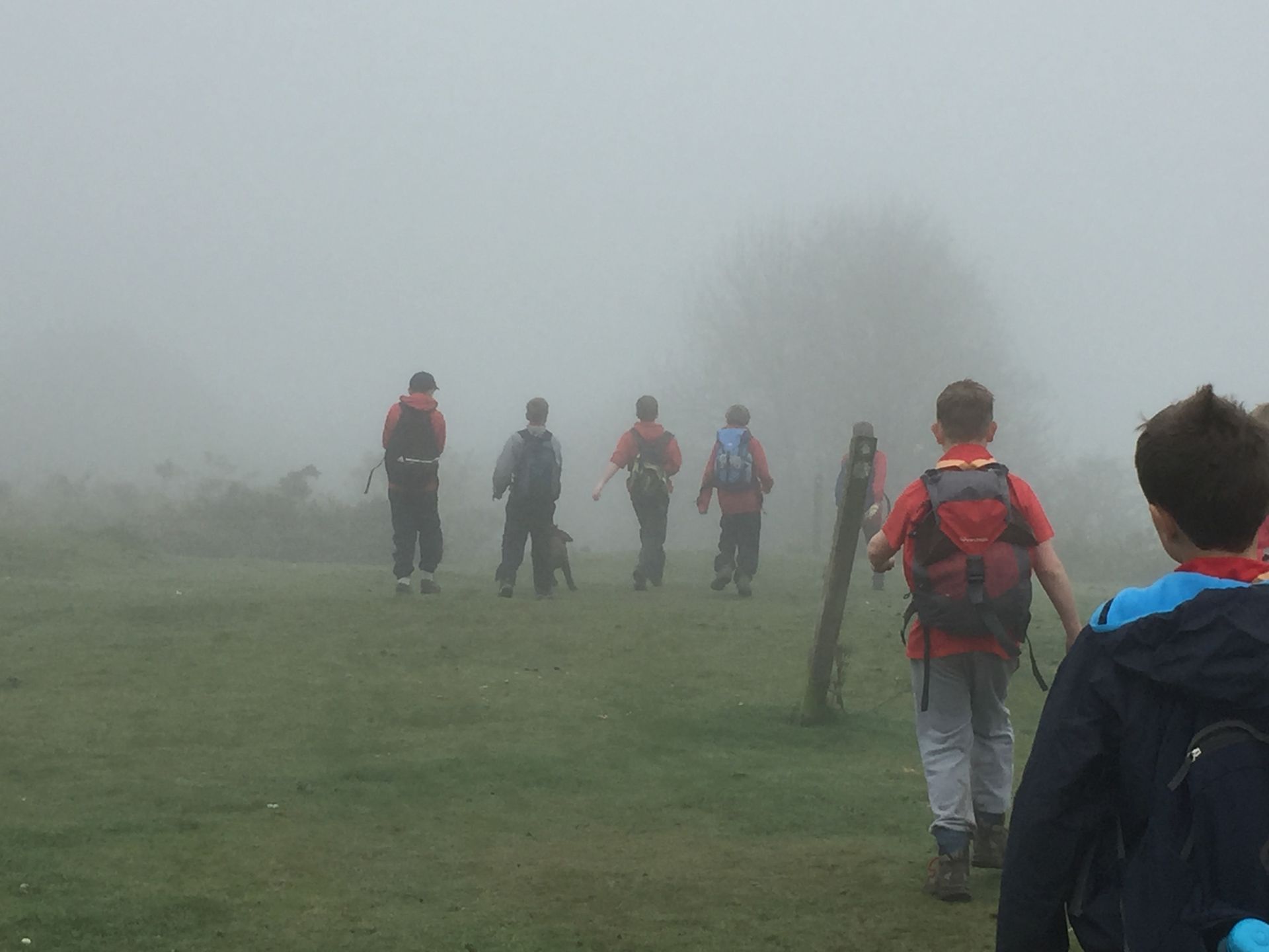 A group of people are walking through a foggy field.