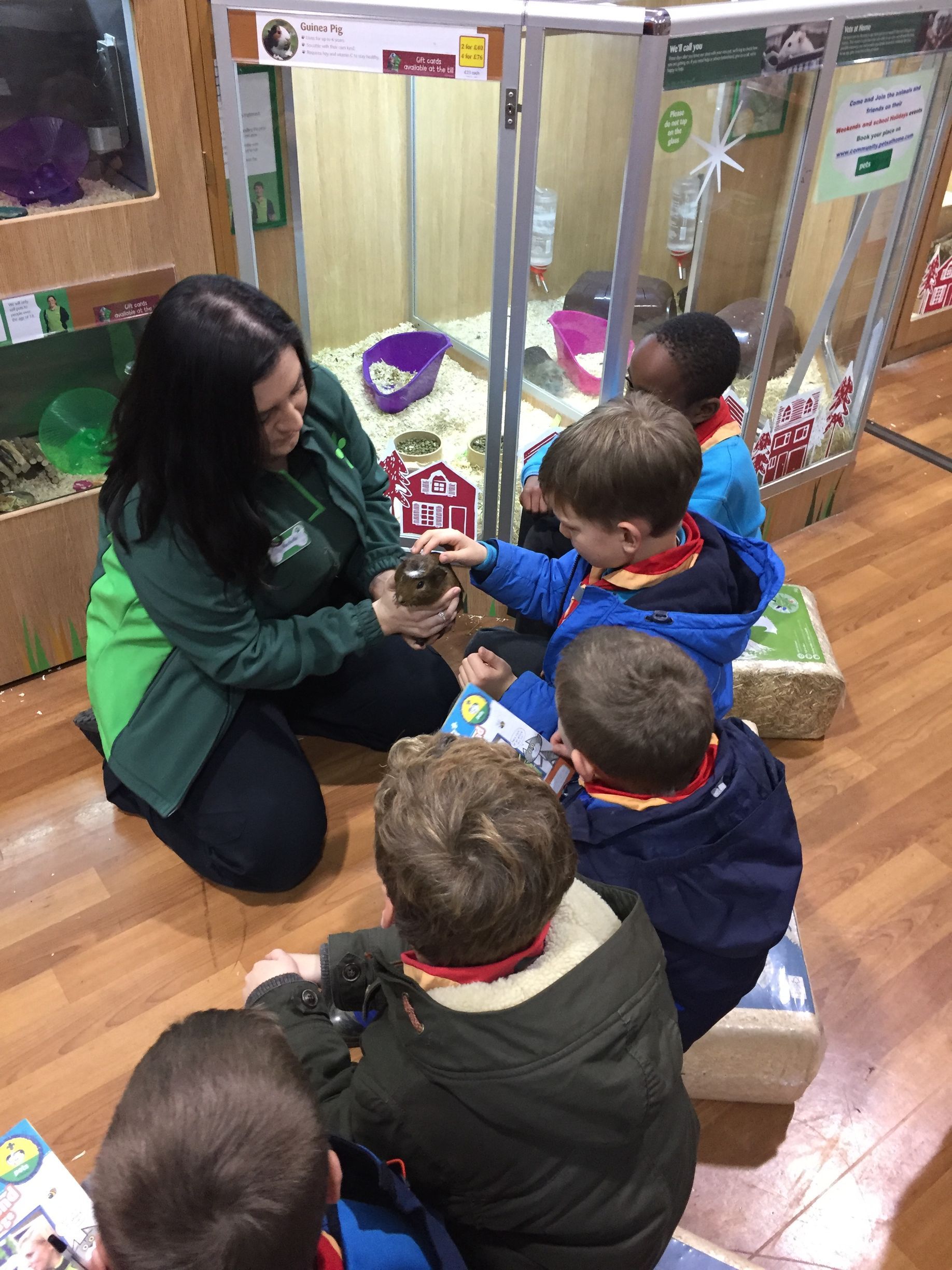A group of children are sitting on the floor in a pet store looking at a hamster.