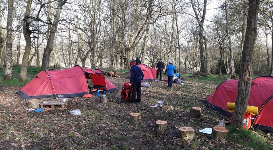 A group of people are camping in the woods with red tents.