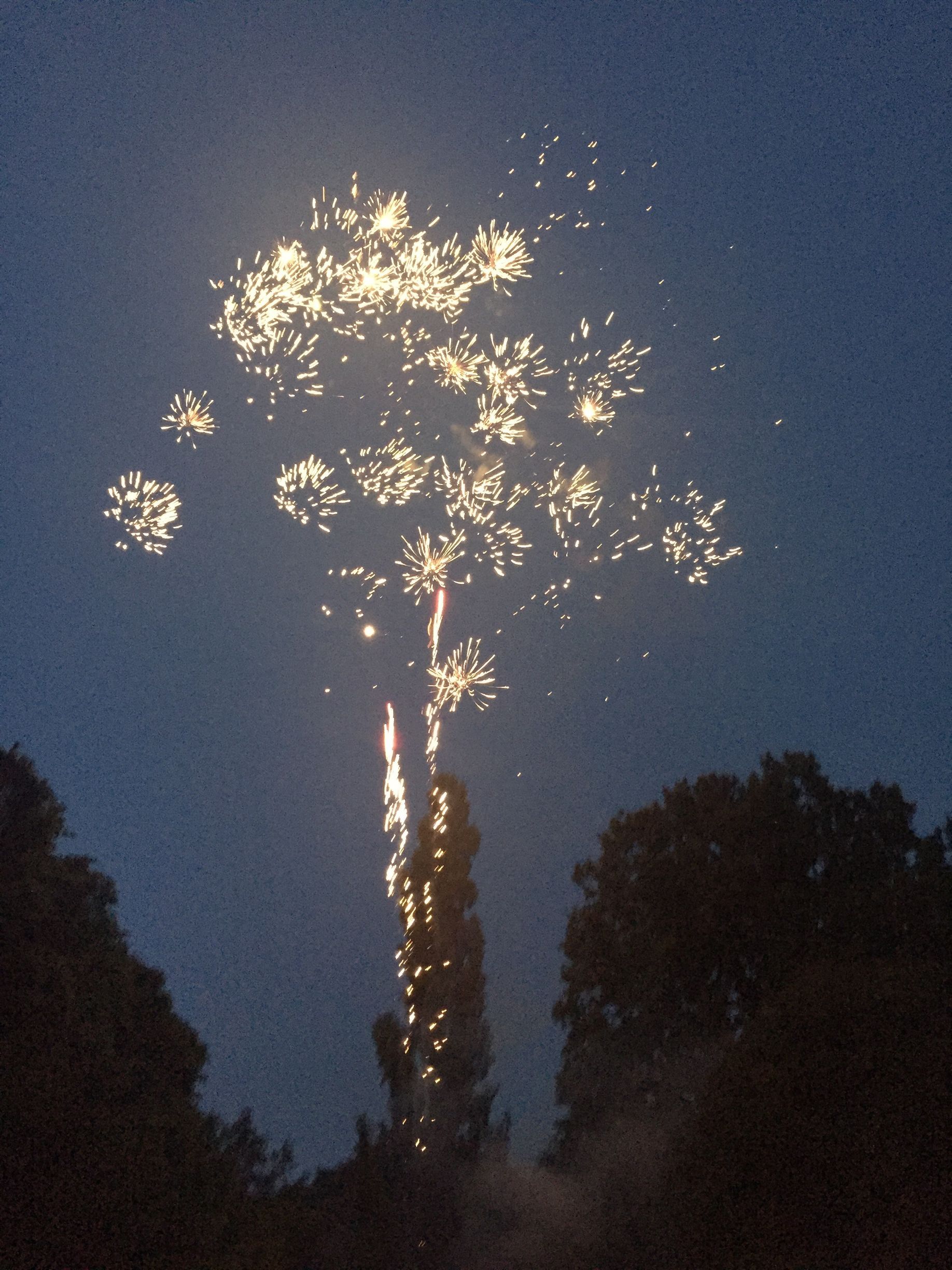A fireworks display in the night sky with trees in the foreground