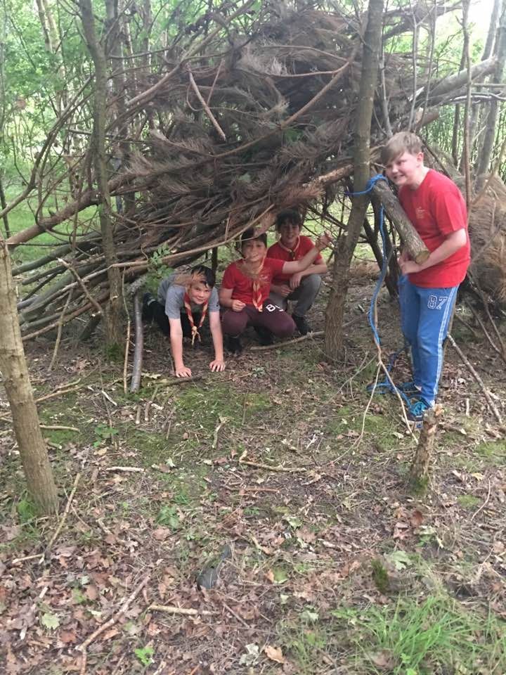 A group of young boys are sitting under a pile of logs in the woods.