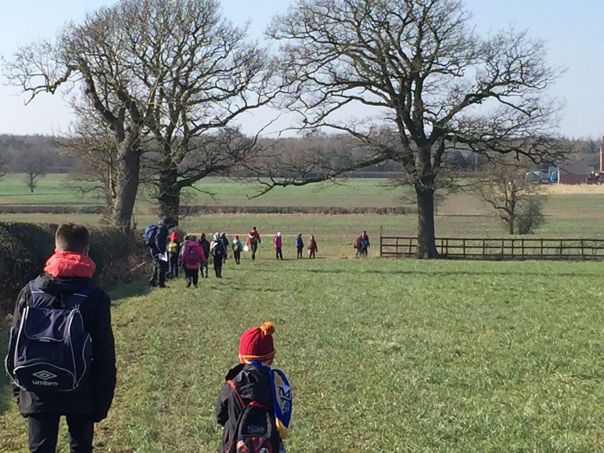 A group of people are walking through a grassy field.