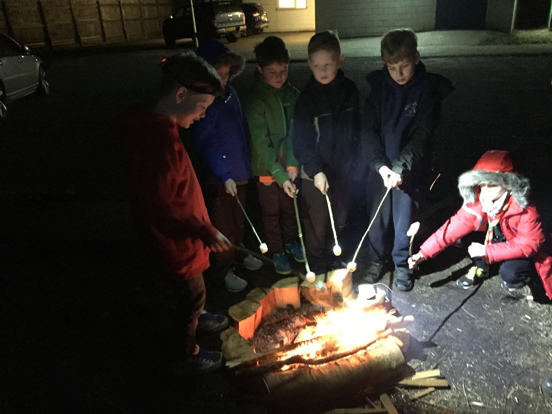 A group of children are roasting marshmallows over a fire pit.