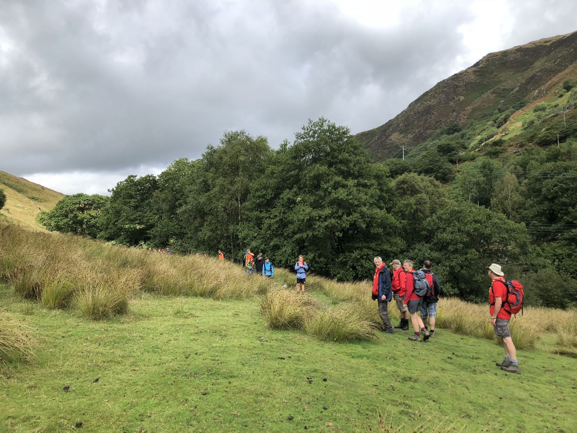 A group of people are walking through a grassy field.