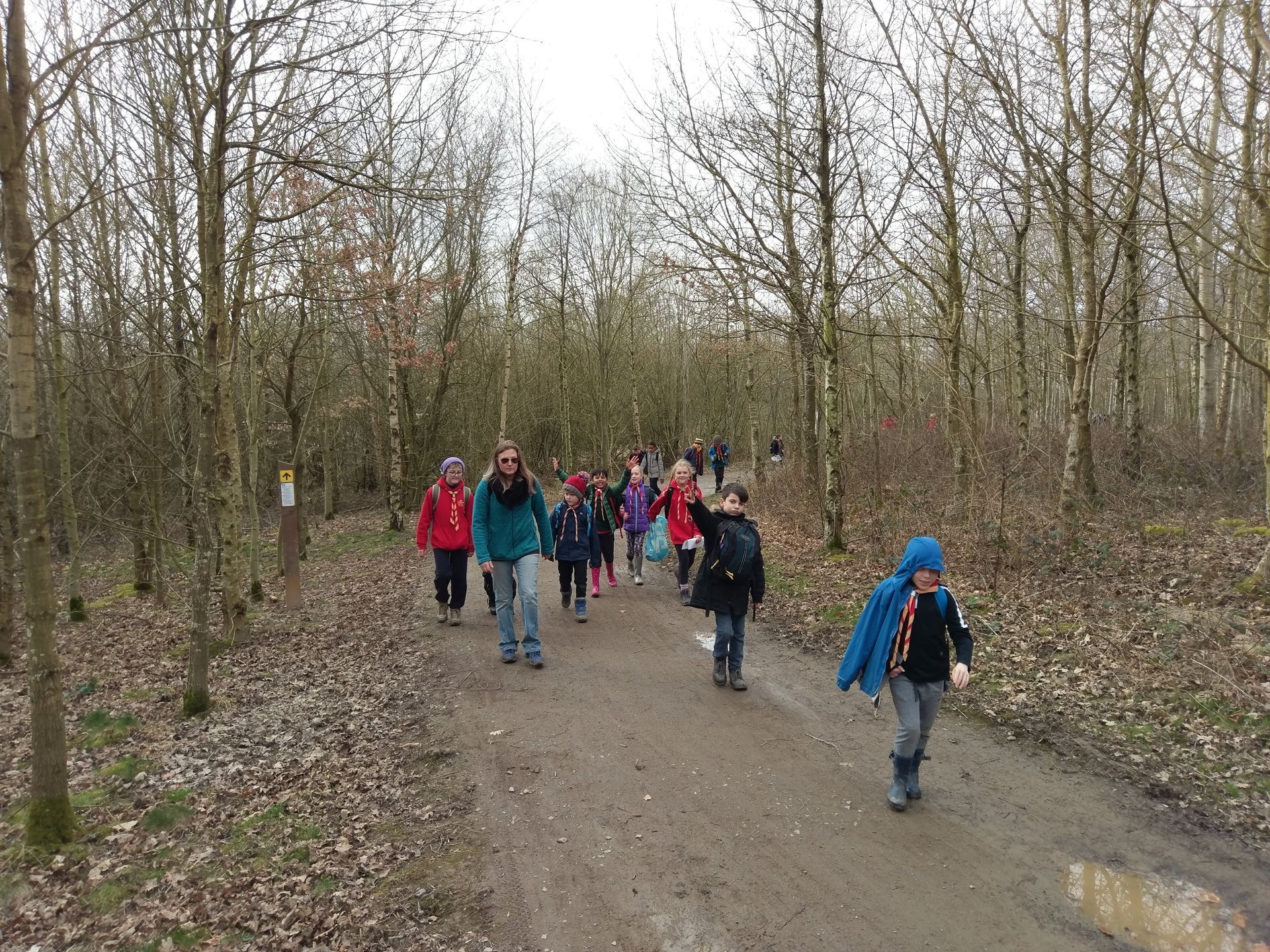 A group of people are walking down a dirt road in the woods.