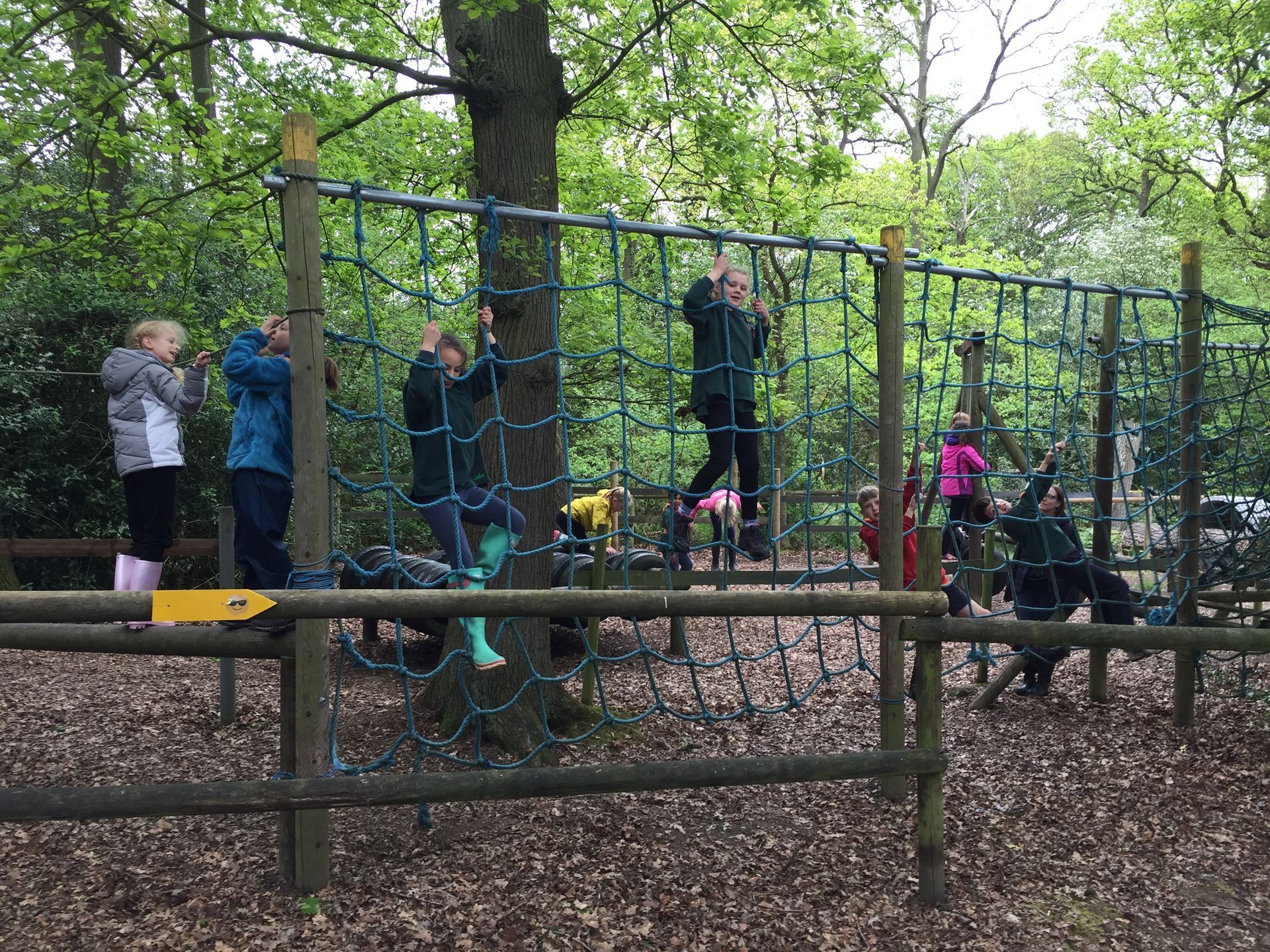A group of children are playing on a ropes course in a park.