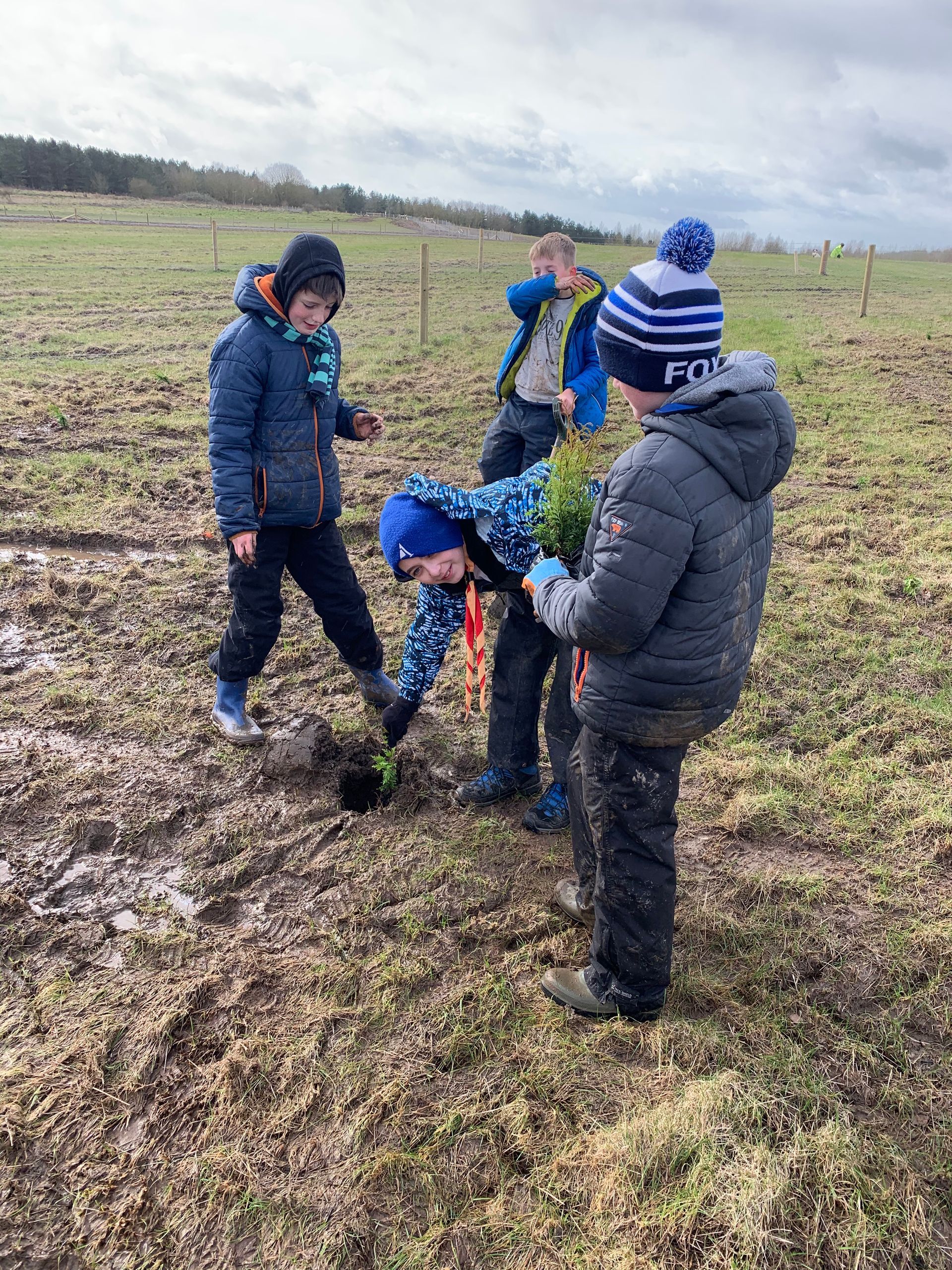 A group of children are planting trees in a field.