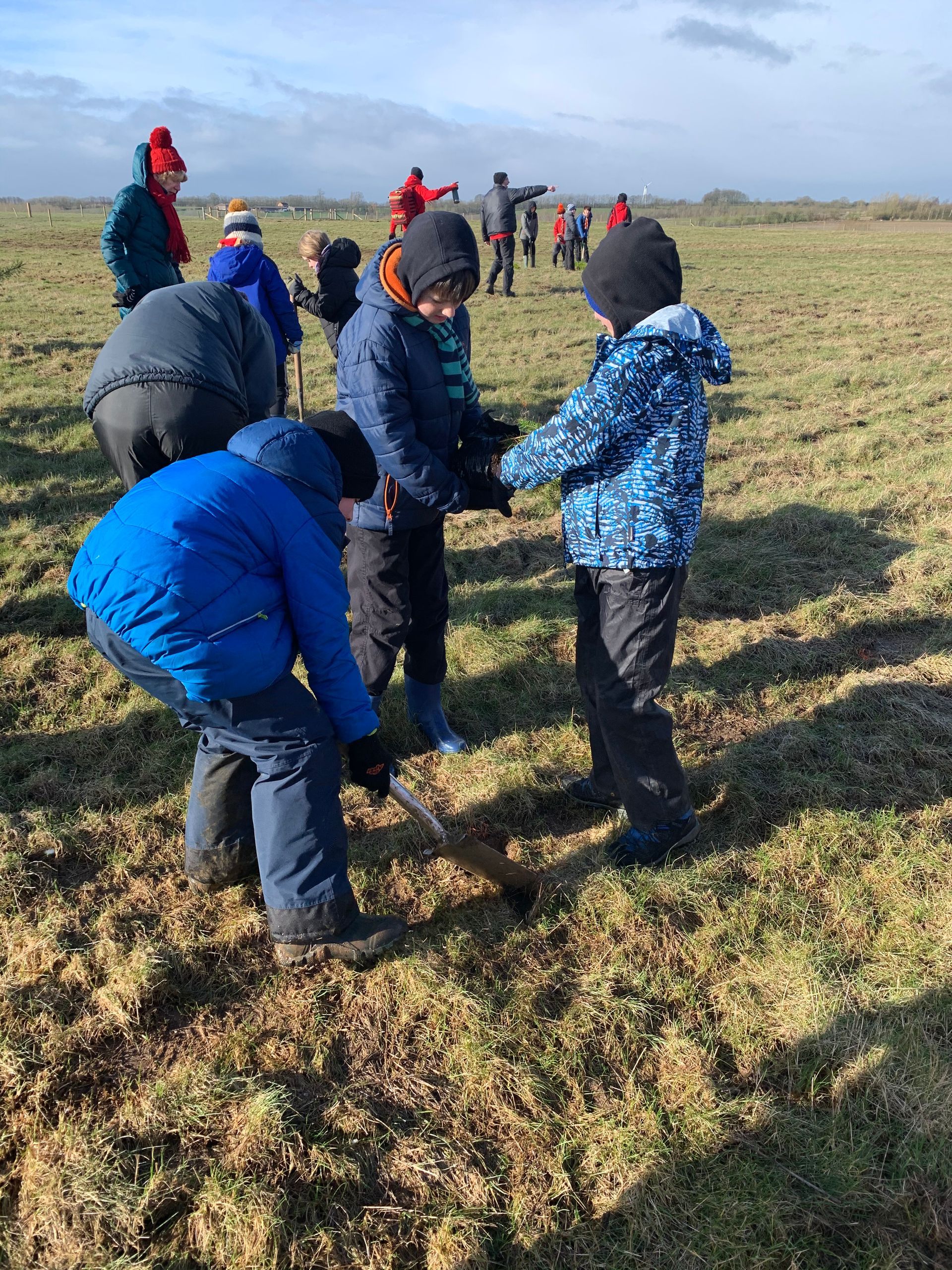 A group of children are digging in a field with shovels.