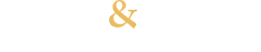 Light Logo
