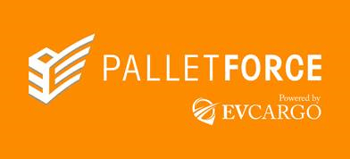Pall ex Logo