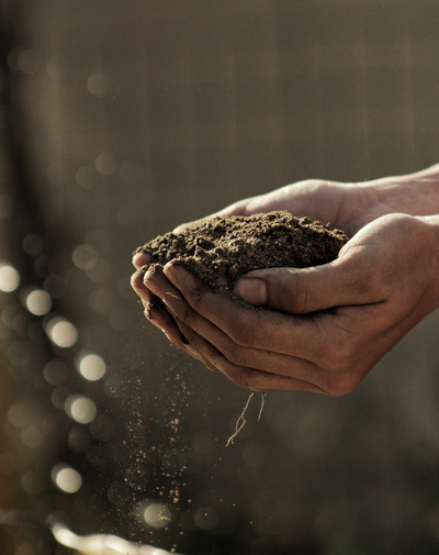 soil on hands