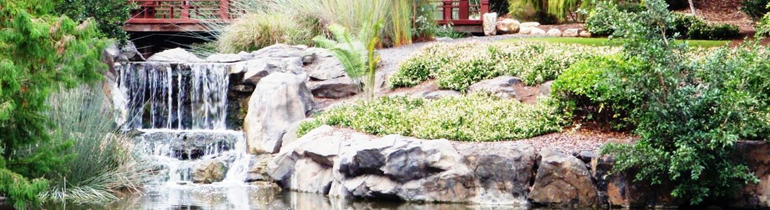 Beautiful garden with pond | Kiralee, QLD | Master Therapies