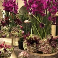 Purple flowers arranged in decorative indoor planters and vases on display